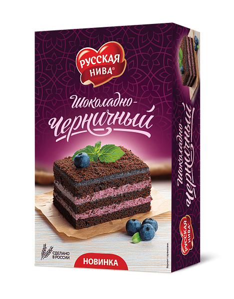 Chocolate-blueberry cake 